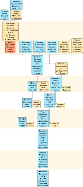 Файл:Drevo Vasiliev IV.png